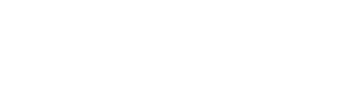Logo PP White